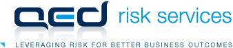 QEDRisk Services logo